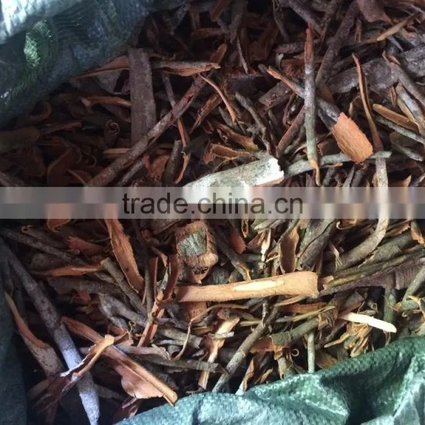 Cinnamon Spices photo-5