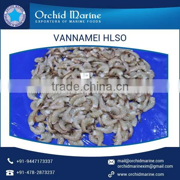White IQF Vannamei HLSO Shrimp Wholesale Exporter photo-4