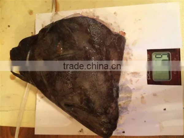 Greenland Halibut Fish Head photo-5