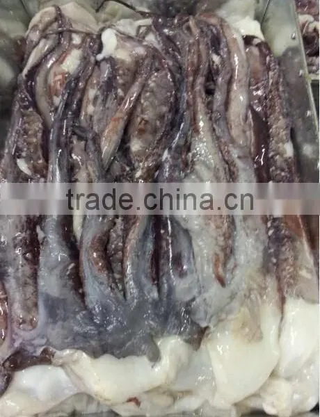 Frozen Bait of Giant Squid Tentacle photo-2