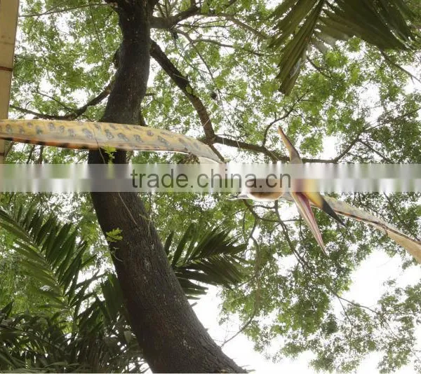 Pteranodont photo-3