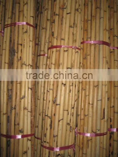 Manau Cane, Manau, Manao, Rattan Pole, Pole, Rattan, Cane, Rattan Cane, Cricket Cane, Singapore Cane, Manao Cane, Manao Pole photo-3
