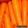 Sell Carrot