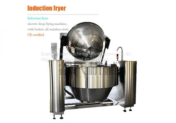 Induction Fryer, Electric Deep Frying Machine, With Basket, All Stainless Steel, CE Certified