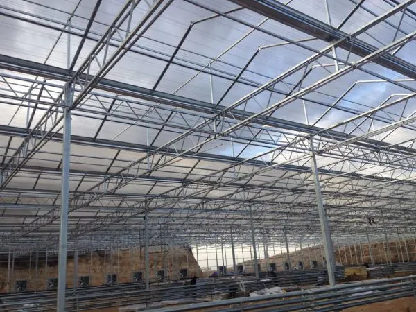 PC Hollow Sheet Multispan Commercial Greenhouse for Agriculture photo-2