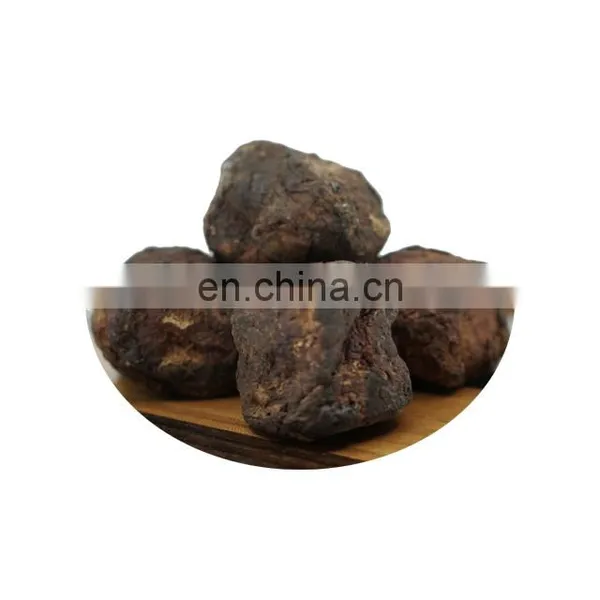 Free Sample Pure Natural Gambir Catechin Gambir Extract photo-2