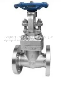 Forged Steel Gate Valve