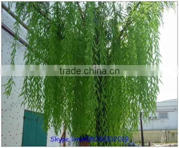 the Evergreen Leaves Artificial Trees Artificial Weeping Willow Trees photo-5