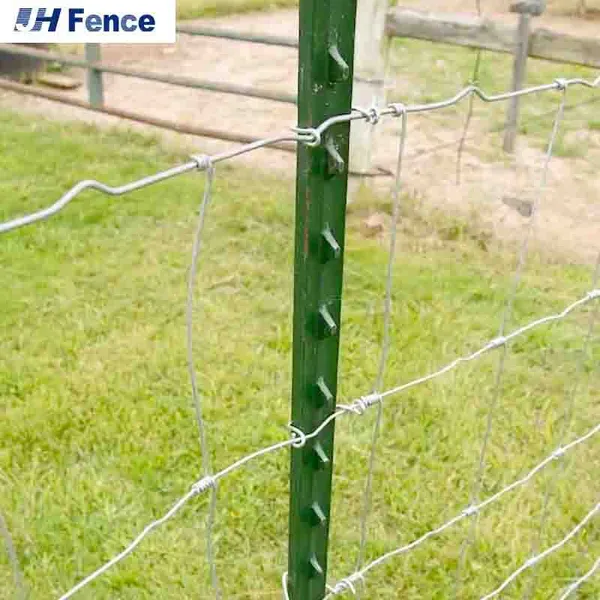 Hot Dipped Galvanized t Post Vineyard Trellis Post photo-4