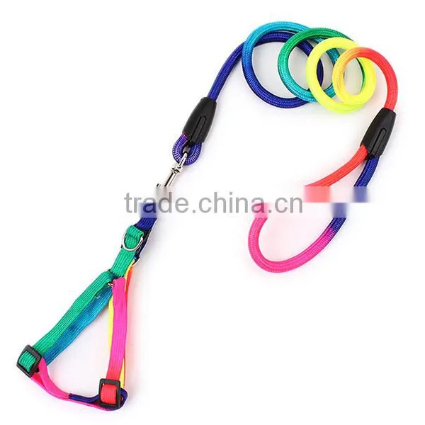 Wholesale Pet Supplies Dog Rope Chain Colorful Round Harness Leash photo-4