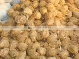 Semi Husked COCONUT photo-5