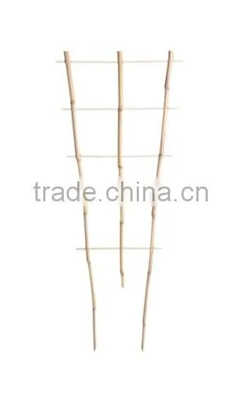 Bamboo Fan Trellis
