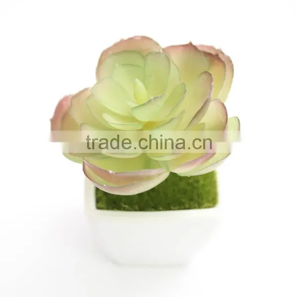 Wholesale Indoor Home Decoration Artificial Plant With Cement Flower Pot photo-3