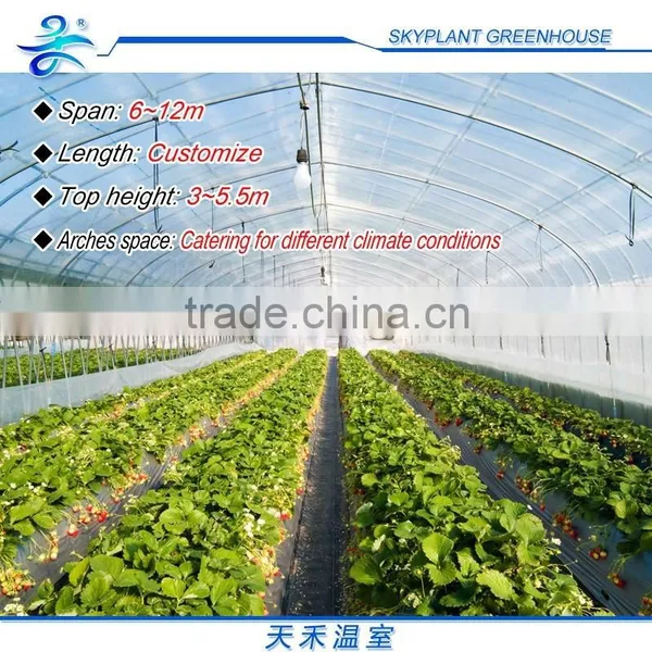 Agricultural Greenhouse Flat Hydroponics photo-6