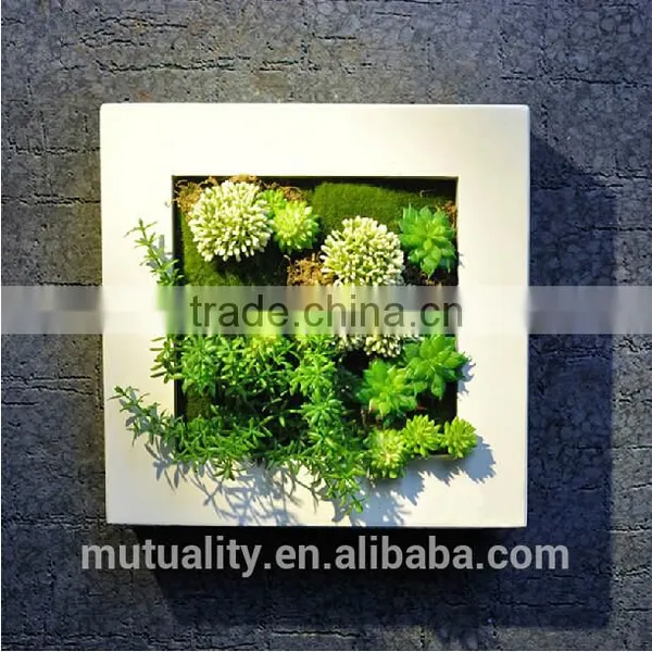 Beautiful Photo Frames Artificial Succulents Vertical Plant Wall photo-2