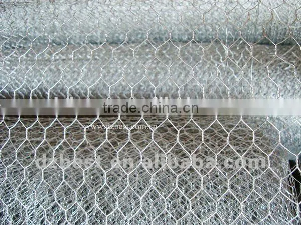 10*10electro Galvanized Hexagonal Wire Mesh Factory photo-5