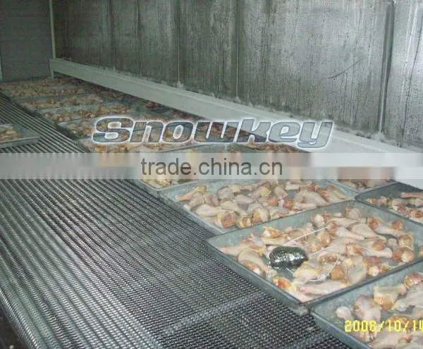 Quick Frozen Equipment