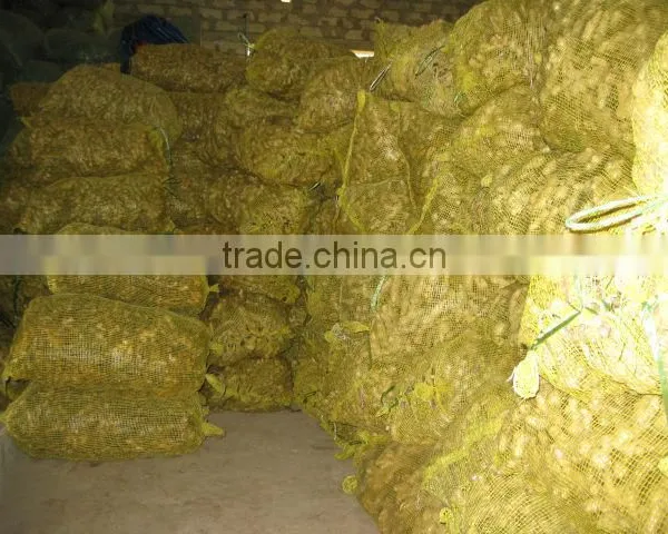 Best Price, OLD Ginger, Fresh Ginger photo-3