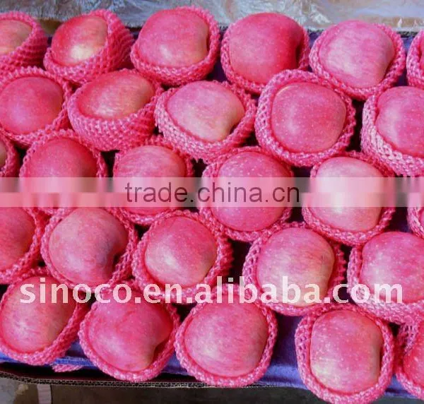Shaanxi Fuji Apple /Red Fuji Apple