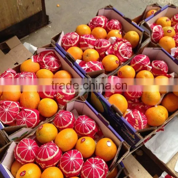 LEMONS / VALENCIA / MODERN & FRESH STYLE photo-4