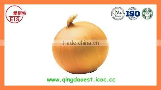 Export China Fresh New Crop Red and Yellow Onion photo-4