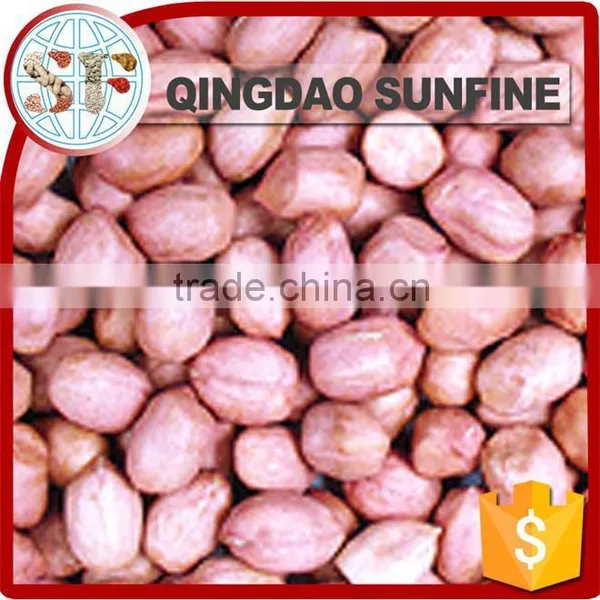 Organic Peanuts Kernel Protein photo-2