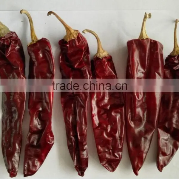 Dry Red Paprika Pods Plant in China photo-2