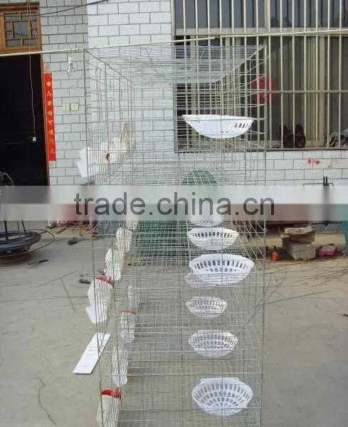 Galvanized Pigeon Breeding Cage For Poultry Farms photo-4