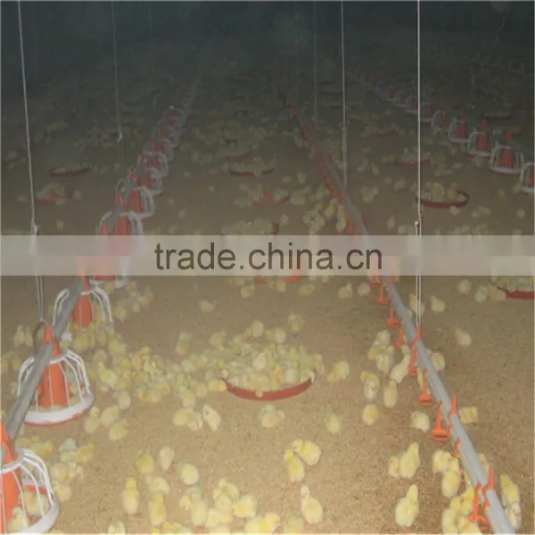 Automatic Chick House Design photo-2