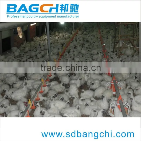 Complete Equipments for Poultry Farms photo-2