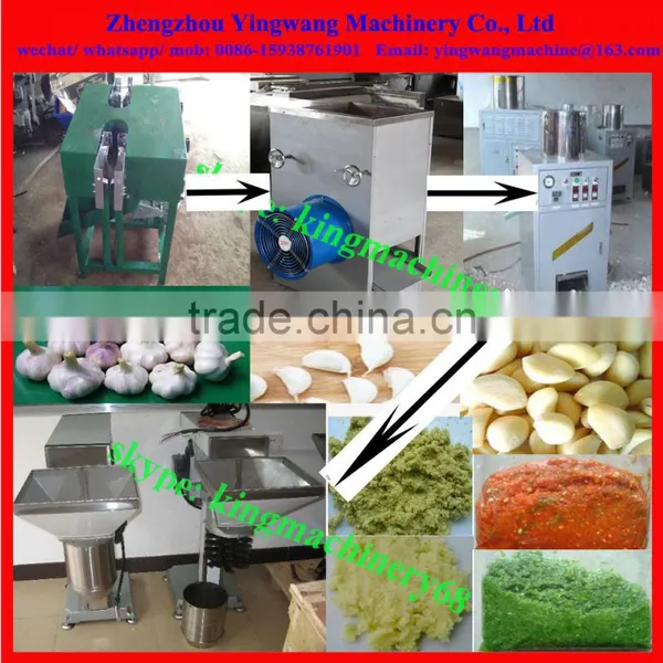 garlic processing machine line