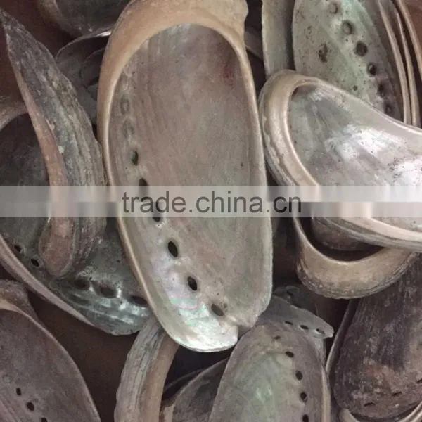 Philippines Abalone Shell Raw Material Donkey Ear Shell photo-2