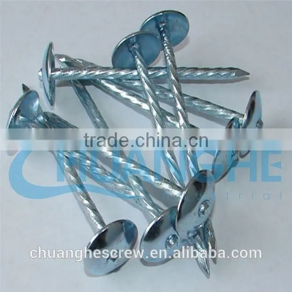 Brass Roofing Nails photo-2