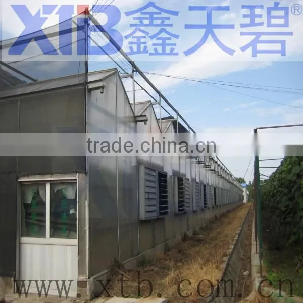 Commercial Greenhouse for Agriculture photo-5