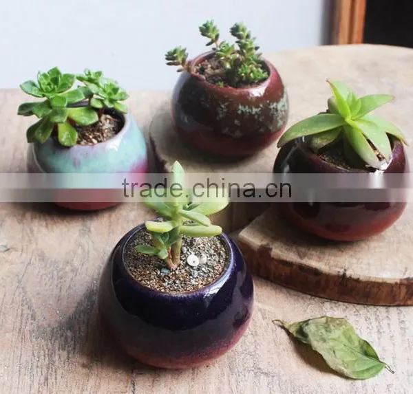 New Christmas Indoor Decor Glazed Small Succulent Pot photo-3