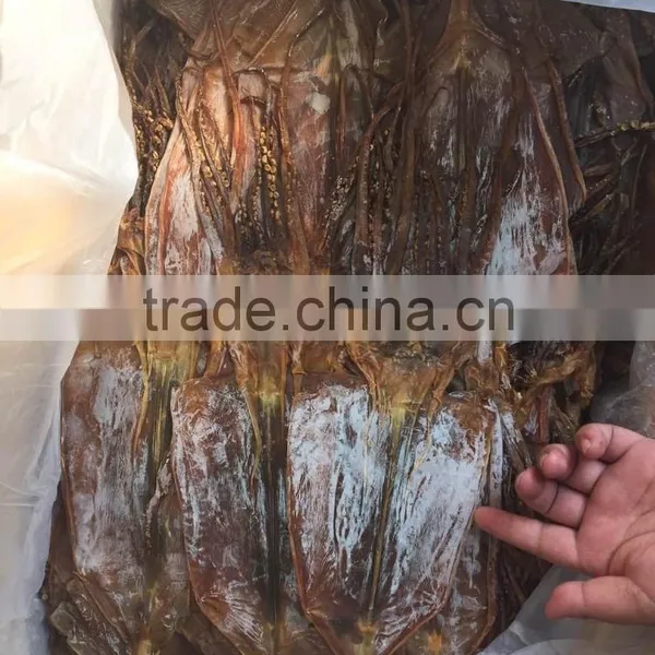 Dried Squid photo-3