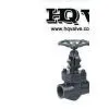 FORGED STEEL GLOBE VALVE