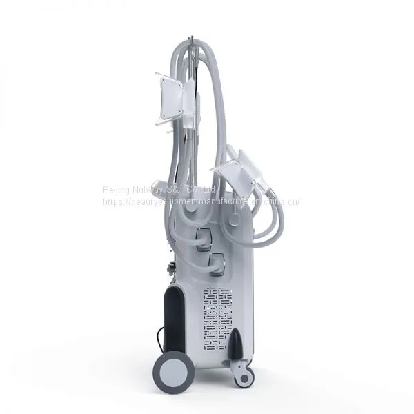 4 Handles Cryolipolysis Fat Freezing Machine Vacuum Fat Cellulite Machines for Body Slimming in Discounting Spa/clinic photo-3