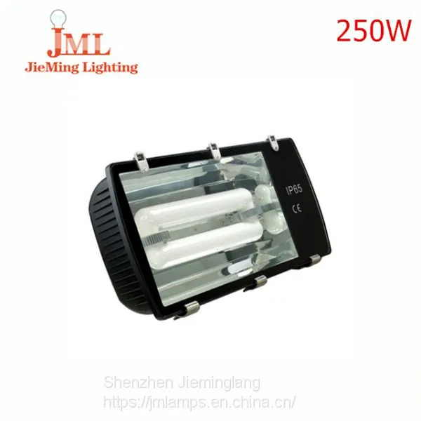 Индукционный прожектор JML-FL501