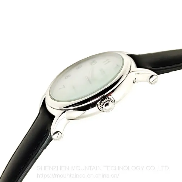 Stainless Steel Watch Fashion Gents Watches Genuine Leather Quartz Man Watch photo-3