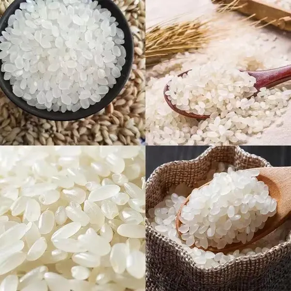 Newly Designed Artificial Rice Production Line Customized Factory Food Fortification Rice Machine photo-3