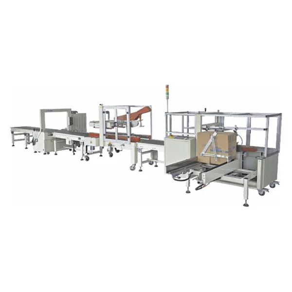 Back Road Packaging Production Line Logistics Industryrear-channel Packaging Production Line photo-4