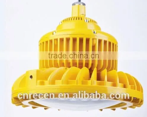 Alumimum Alloy IP66 High Power Energy-saving 100 Watt Explosion-proof Lamp photo-2