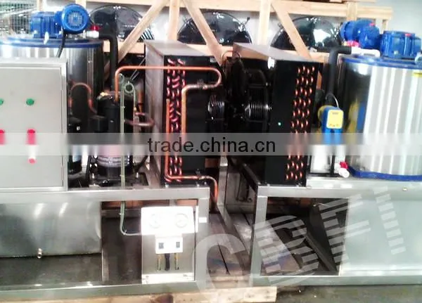Small Flake Ice Maker With Ice Bin to Make Flake Ice in Guangzhou photo-6