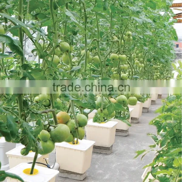 Commercial Duch Buckets for Tomatoes photo-4