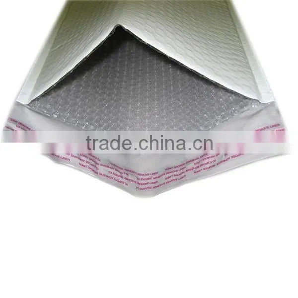 Custom Courier Envelope