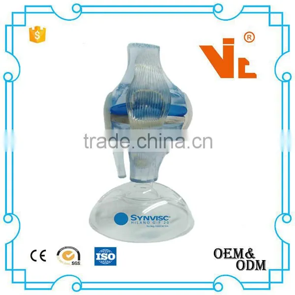 V-AM036 Plastic Human Knee Anatomic Model