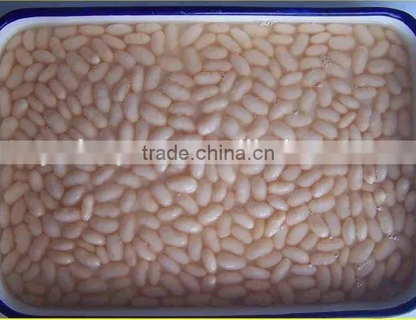 Canned White Kidney Beans