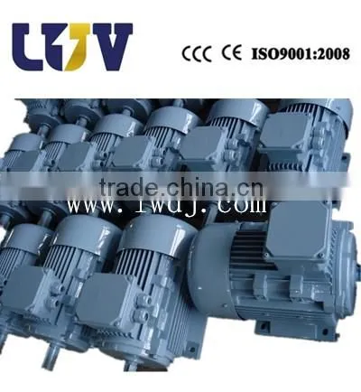 Vacuum Cleaner Motor