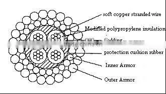 Logging Cable , 4 Conductor Cable, 3/16" Cable photo-2